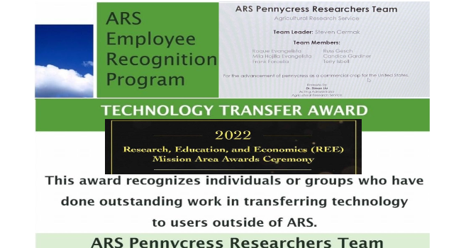 ARS Employee Recognition Program: 
ARS Pennycress Researchers Team 
Agricultural Research Service 
Team Leader: Steven Cermak
Team Members: Roque Evangelista, Russ Gesch, Mila-Hojilla-Evangelista, Candice Gardner, Frank Forcelia, Terry Isbell

For the advancement of pennycress as a commercial crop for the United States.

Technology Transfer Award
2022
Research, Education, and Economics (REE)
Mission Area Award Ceremony